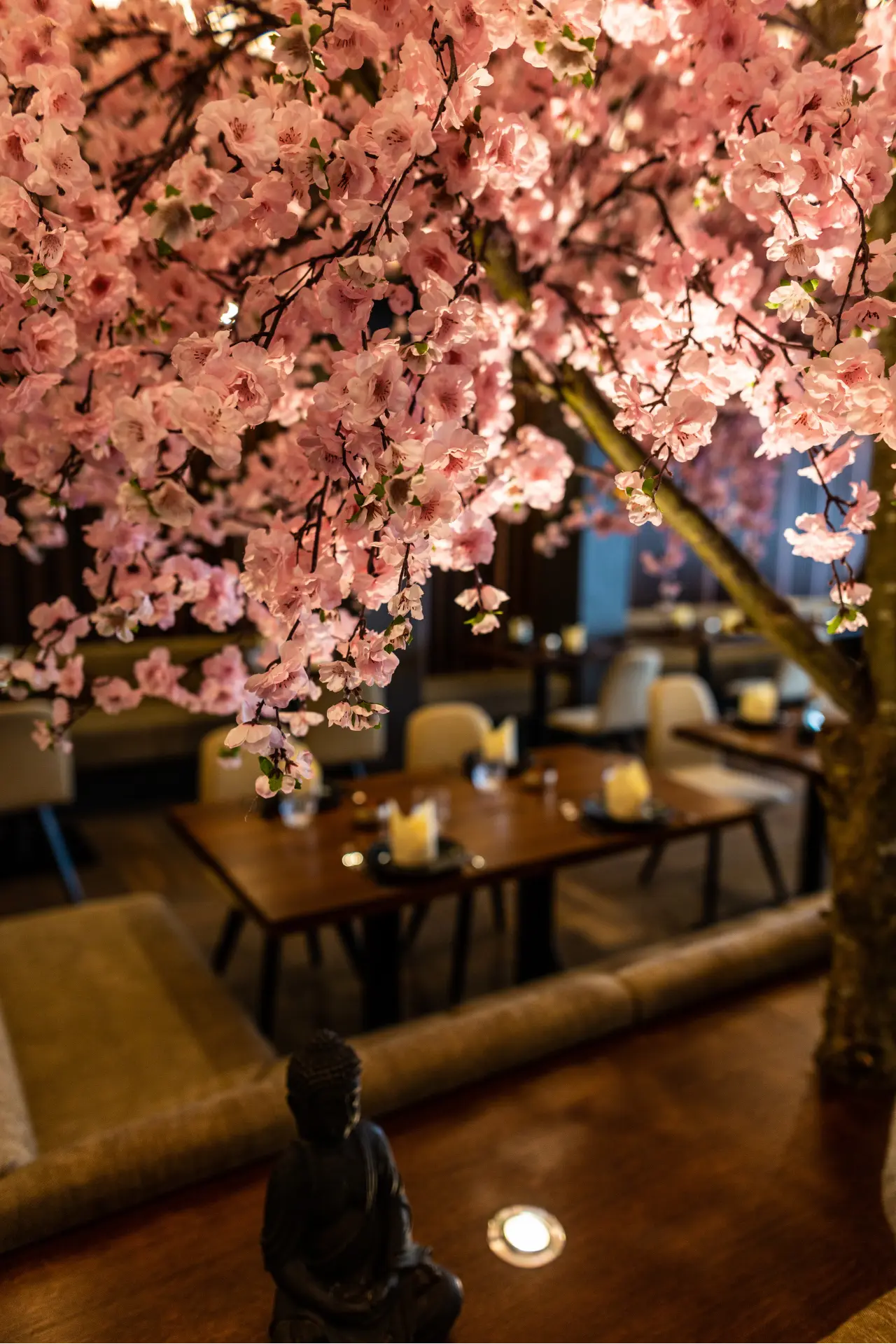 Javi Sakura Tree Picture Element